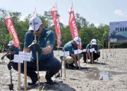 Honda Tanam 500 Mangrove: Jaga Pesisir Bangka Belitung
