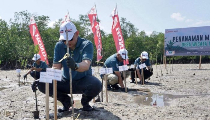 Honda Tanam 500 Mangrove: Jaga Pesisir Bangka Belitung