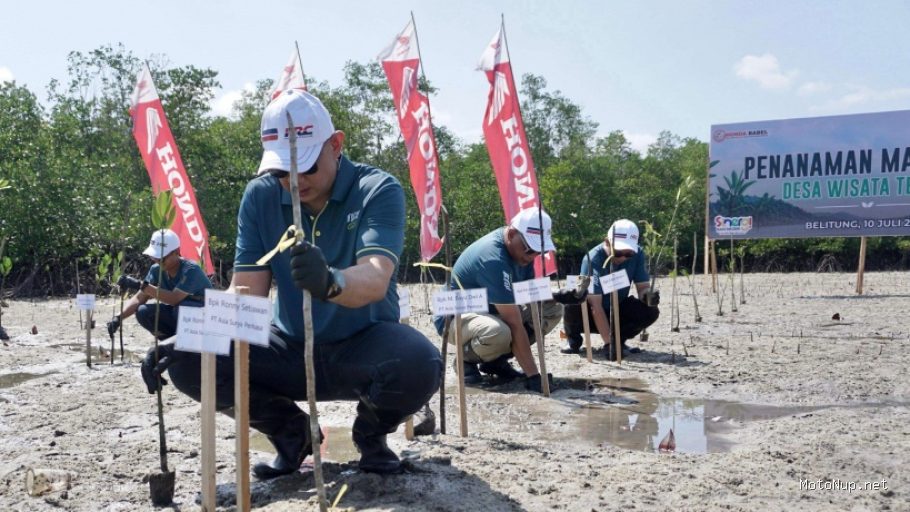 Honda Tanam 500 Mangrove: Jaga Pesisir Bangka Belitung