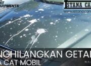 Photo by istanacarwash.com - Cara Membersihkan Noda Getah Pohon di Kap Mobil dengan Minyak Kayu Putih
