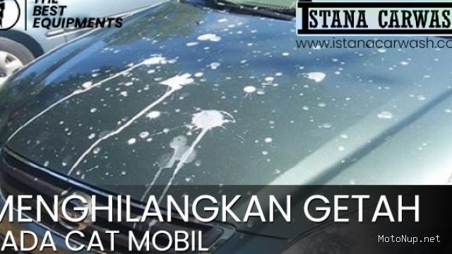 Photo by istanacarwash.com - Cara Membersihkan Noda Getah Pohon di Kap Mobil dengan Minyak Kayu Putih