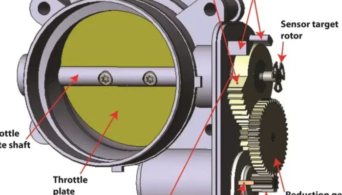 Panduan Lengkap Membersihkan Throttle Body Motor Sendiri