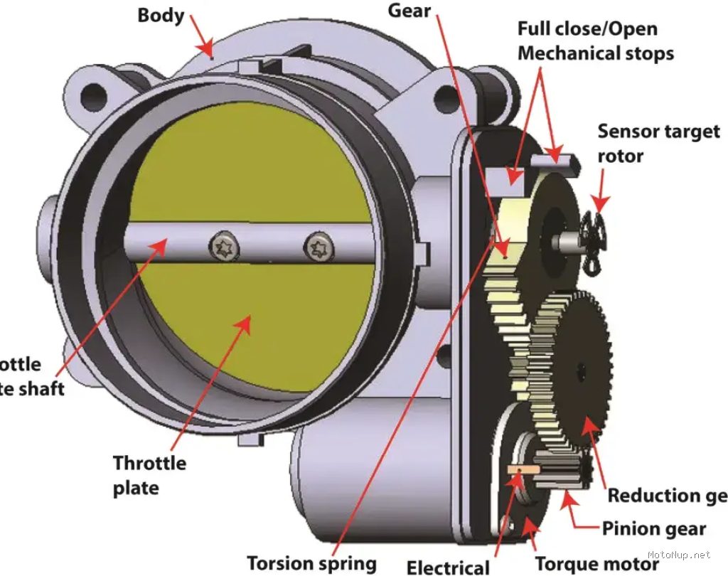 Photo by ricksfreeautorepairadvice.com - Panduan Lengkap Membersihkan Throttle Body Motor Sendiri
